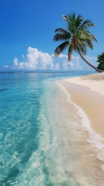 蓝天白云下的海边美丽风景