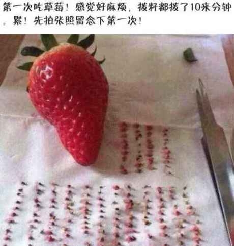 搞笑吃草莓图片