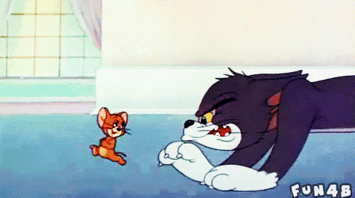 Tom and Jerry猫追老鼠