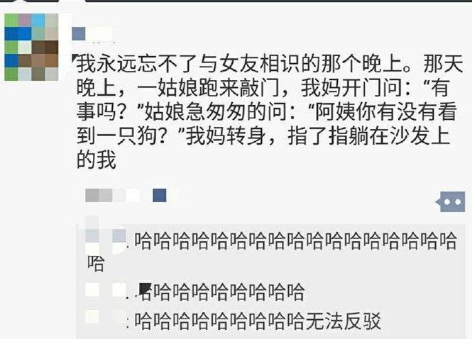 哈哈哈是真的狗爆笑图片