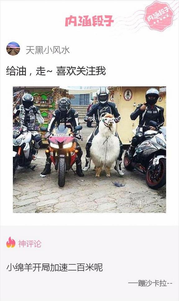 生活中形形色色的搞笑内涵图片