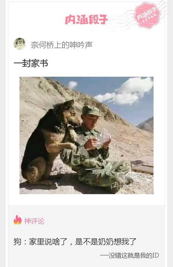 每日一更成人内涵段子图片集锦