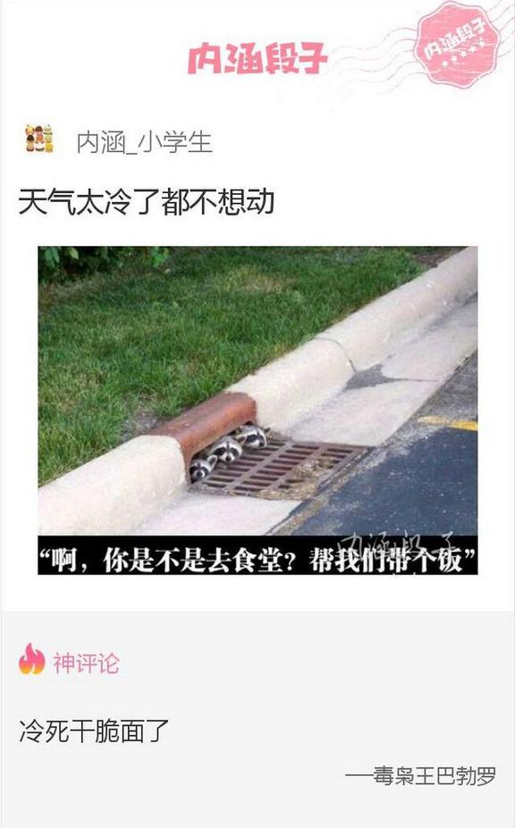 生活中形形色色的搞笑内涵图片