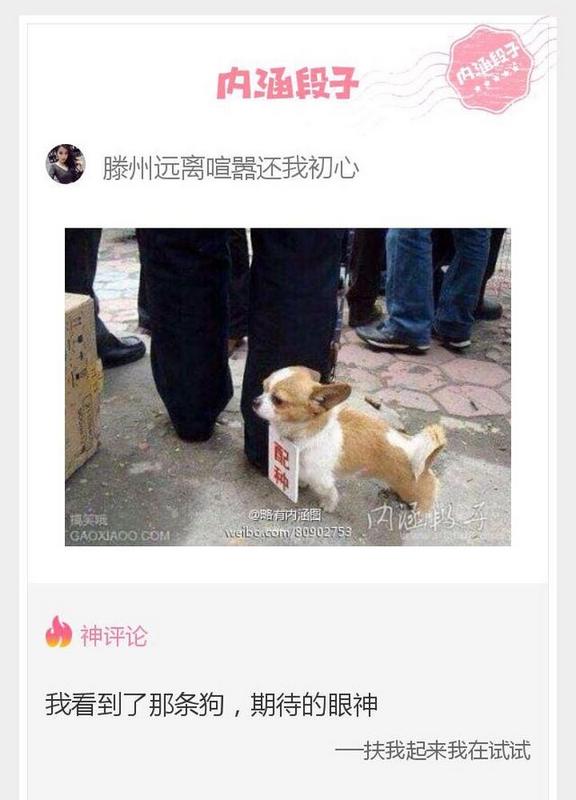 超级邪恶内涵图片之期待配种的狗