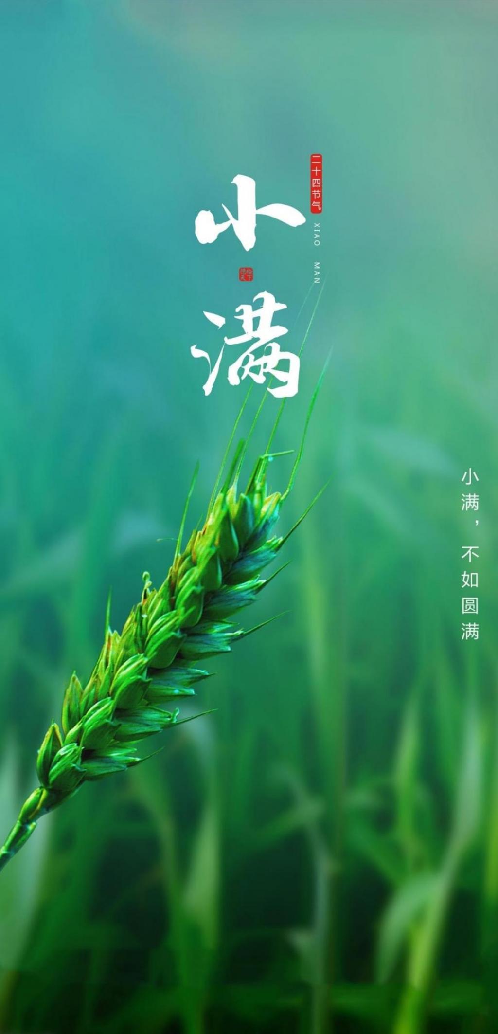 小清新24时节小满手机壁纸