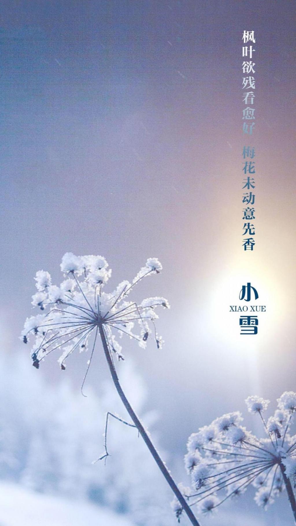 小雪时节至手机壁纸