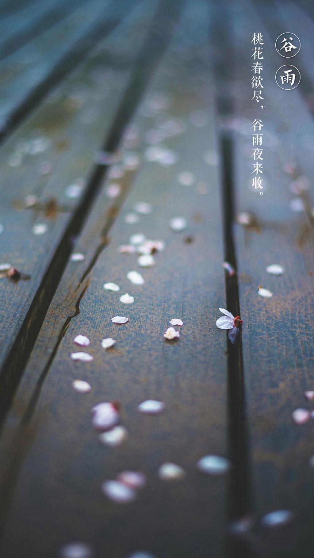 谷雨夜来收手机壁纸