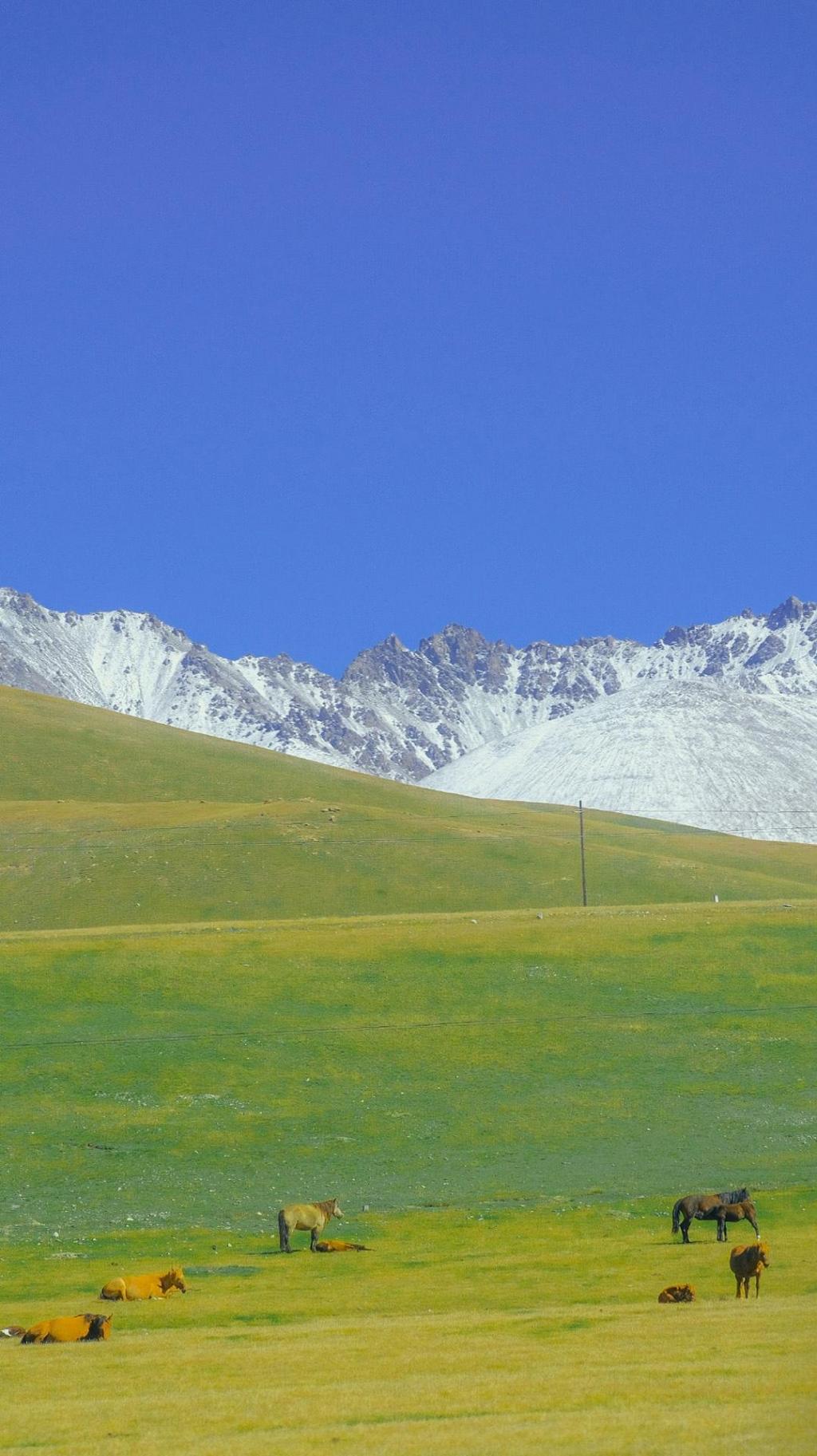 草原雪山壮阔自然风景手机壁纸