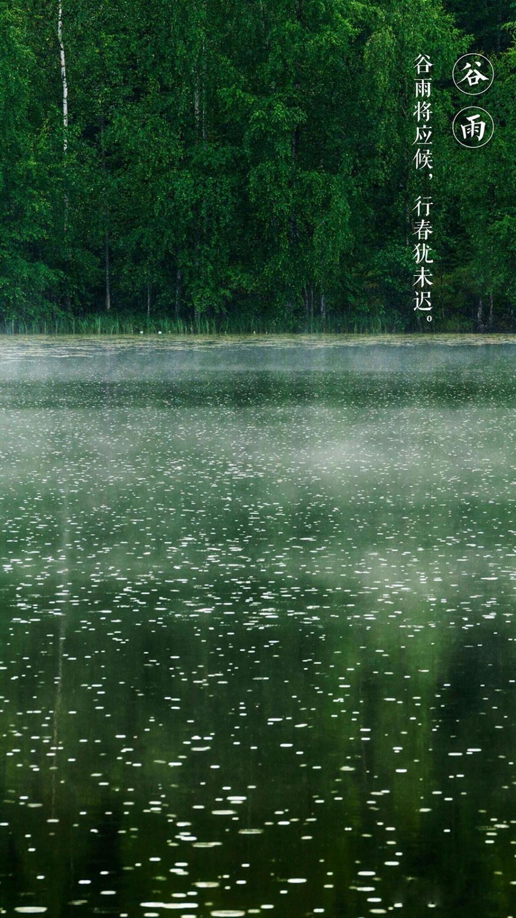 谷雨将应侯手机壁纸