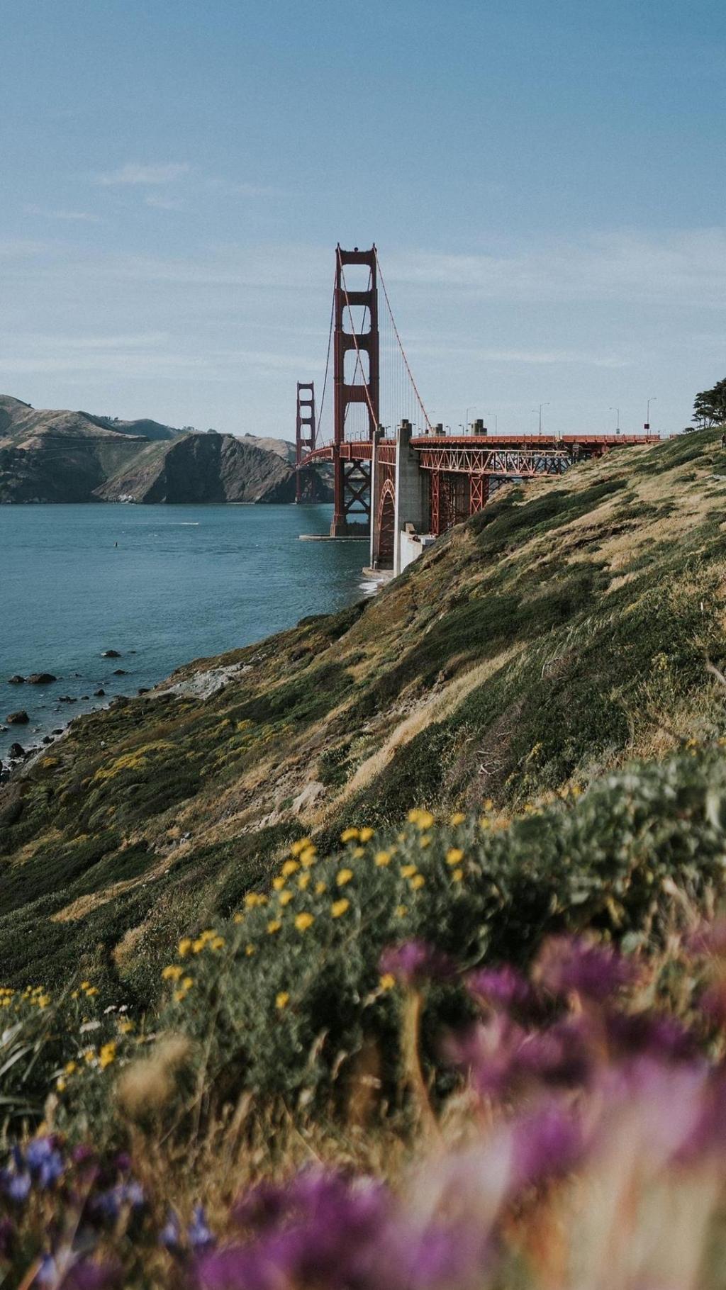 旧金山大桥养眼美景写真手机壁纸