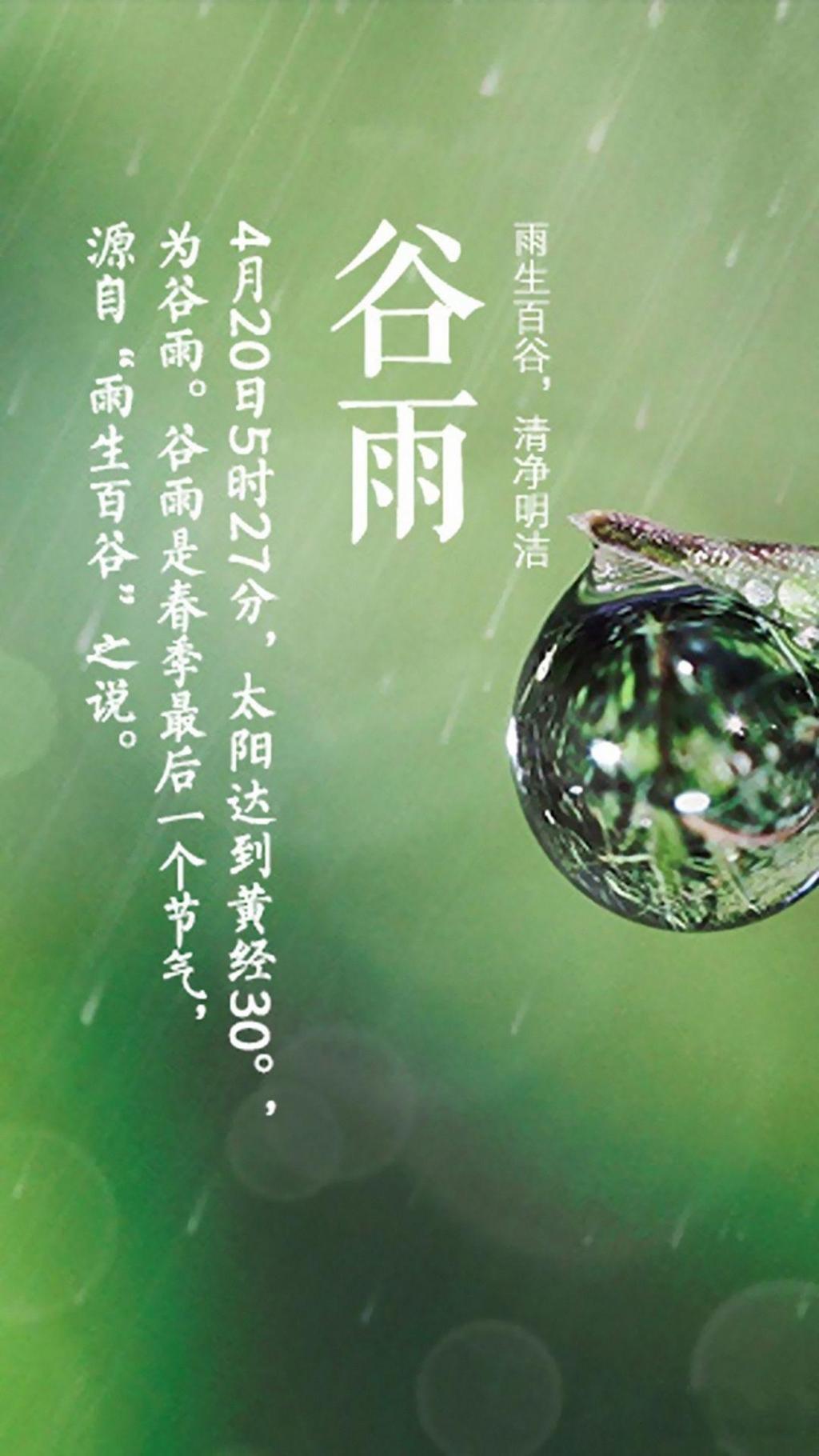 小清新谷雨时节来到手机壁纸