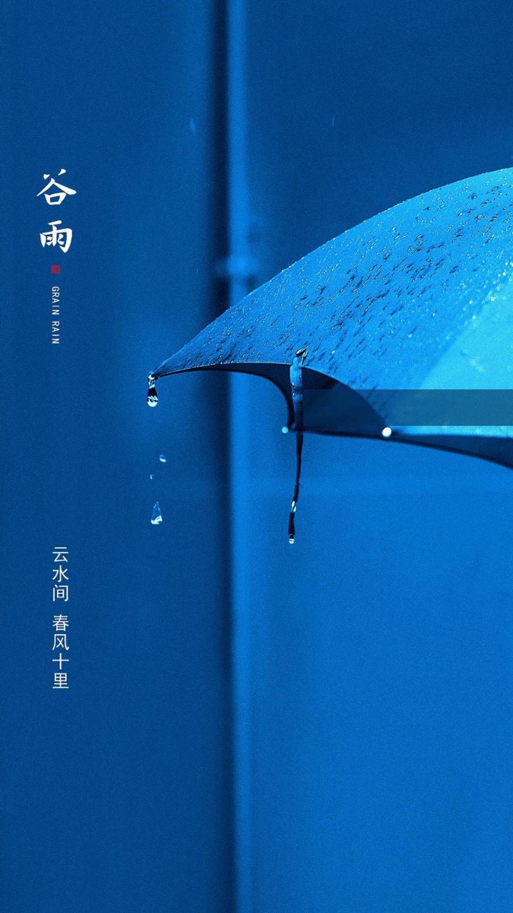 小清新谷雨时节来了手机壁纸