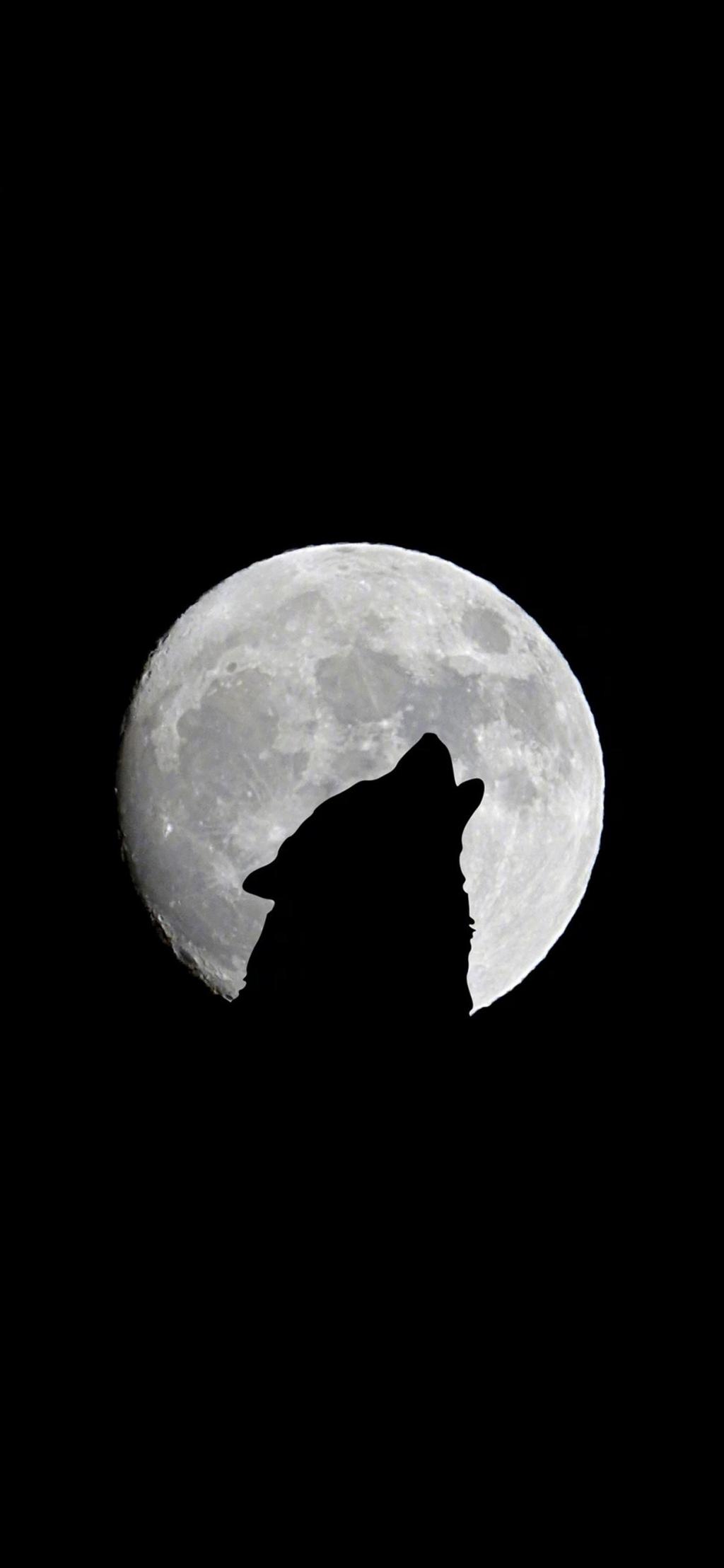 Wolf Howling At The Moon Wallpapers - Wallpaper Cave