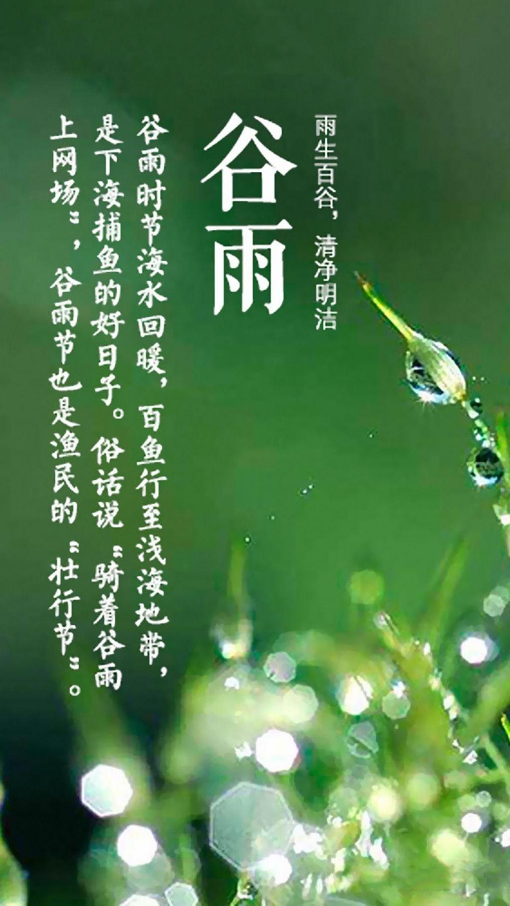 清净明洁,谷雨到手机壁纸