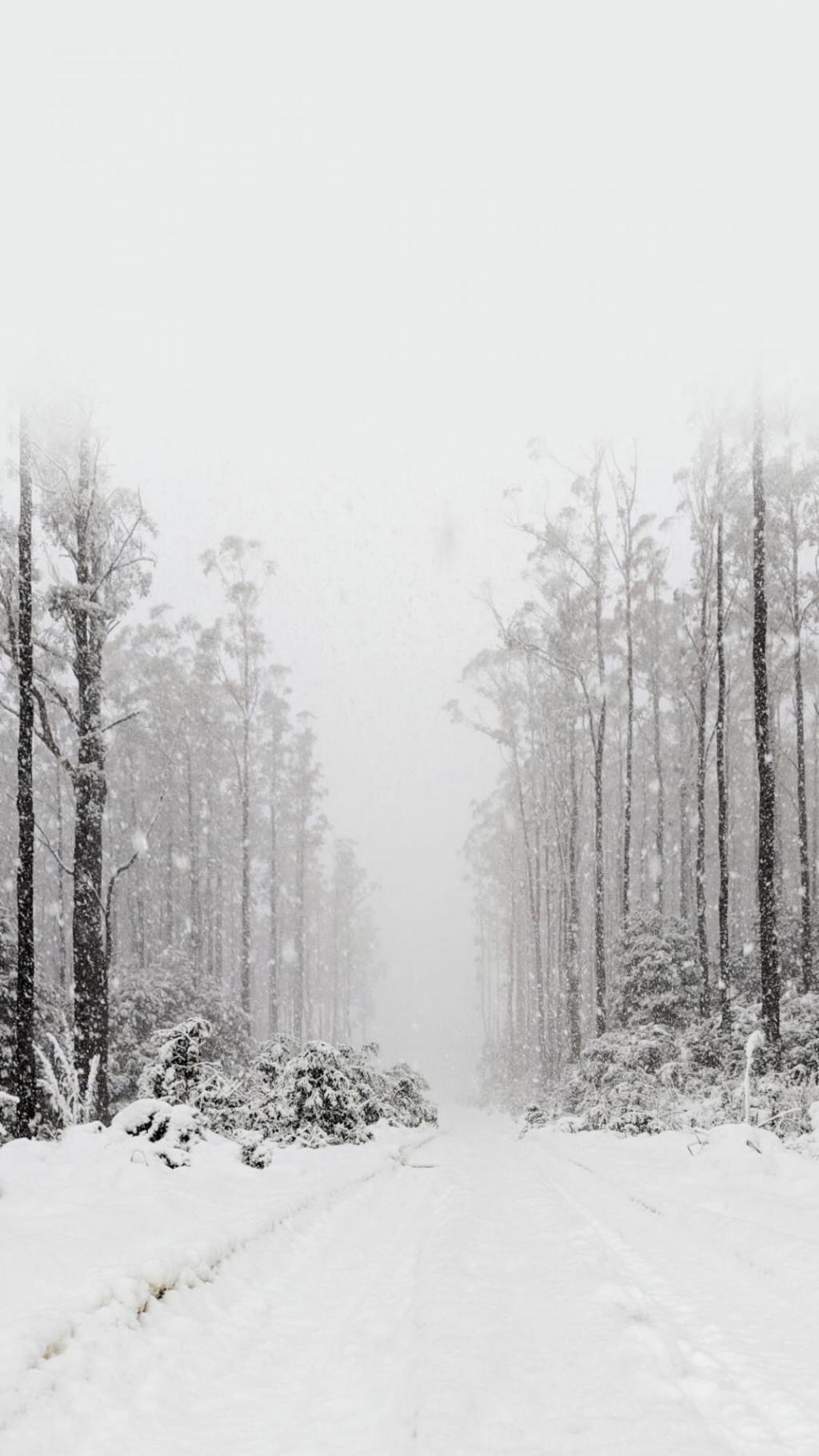 白雪皑皑的冬季唯美雪景手机壁纸