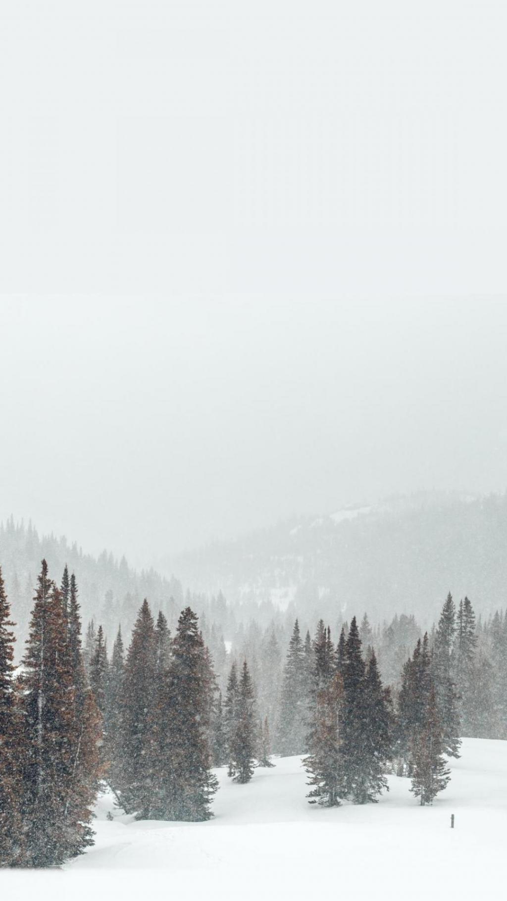 冬季里大自然的雪景风光手机壁纸