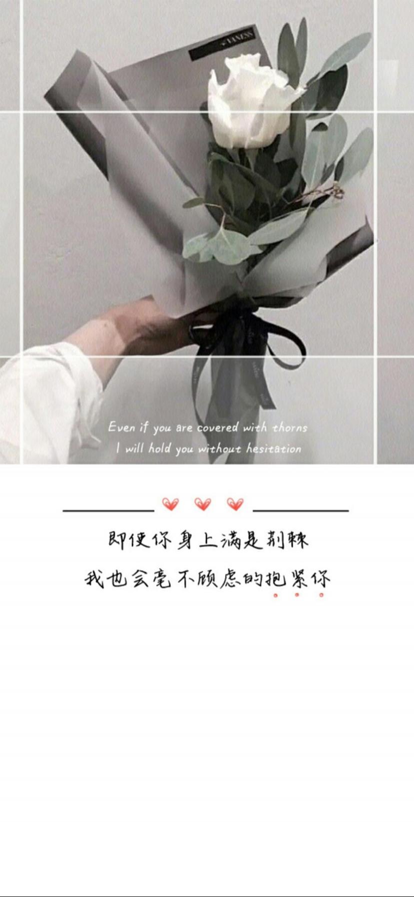 我会抱紧你手机壁纸