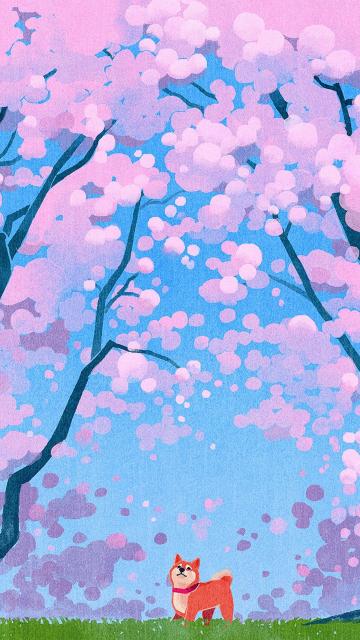 樱花树下的可爱柴犬手机壁纸
