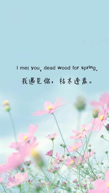我遇见你,枯木逢春手机壁纸