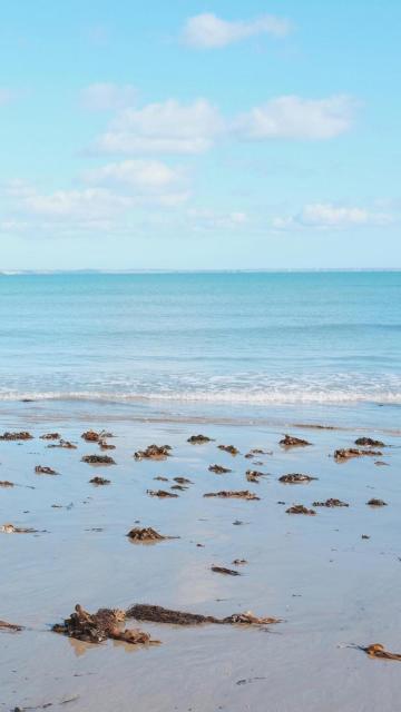优美迷人的大海自然景色手机壁纸