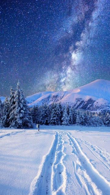 冬日夜空下的唯美雪景手机壁纸