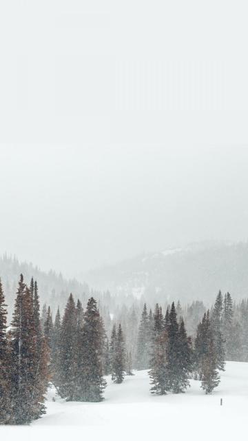 冬季里大自然的雪景风光手机壁纸