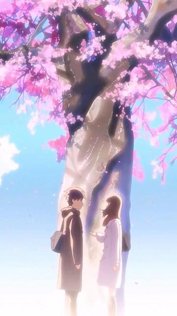 樱花树下的甜蜜情侣手机壁纸