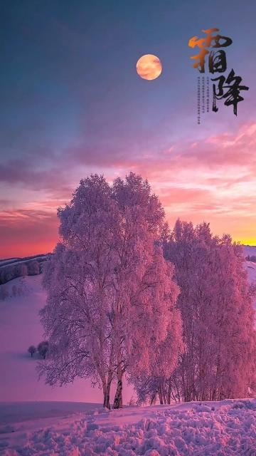 霜降唯美迷人雪景图片手机壁纸