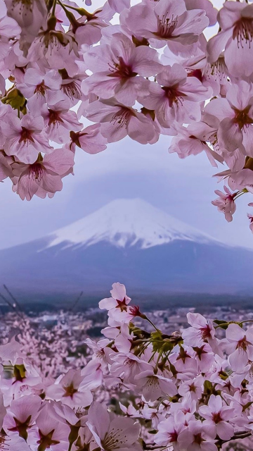 富士山樱花唯美浪漫风景手机壁纸