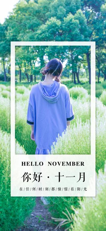 你好十一月:花田女孩唯美背影文字手机壁纸