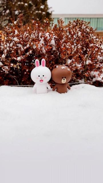 雪地里可爱的心心兔和布朗熊手机壁纸