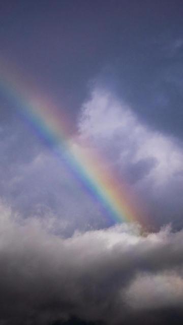 天空划过一道彩虹手机壁纸