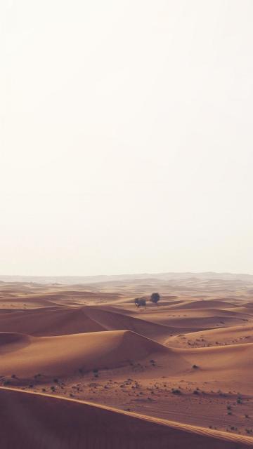 自然中荒无人烟的沙漠风景手机壁纸