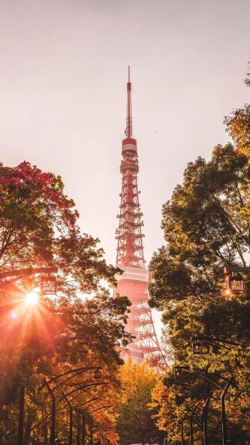日本著名建筑——东京塔手机壁纸
