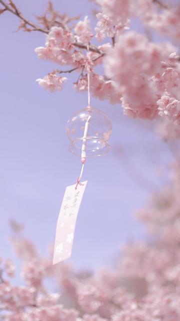风铃与樱花浪漫唯美写真手机壁纸