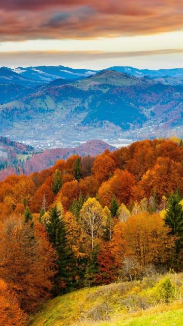 优美迷人的秋天景色手机壁纸
