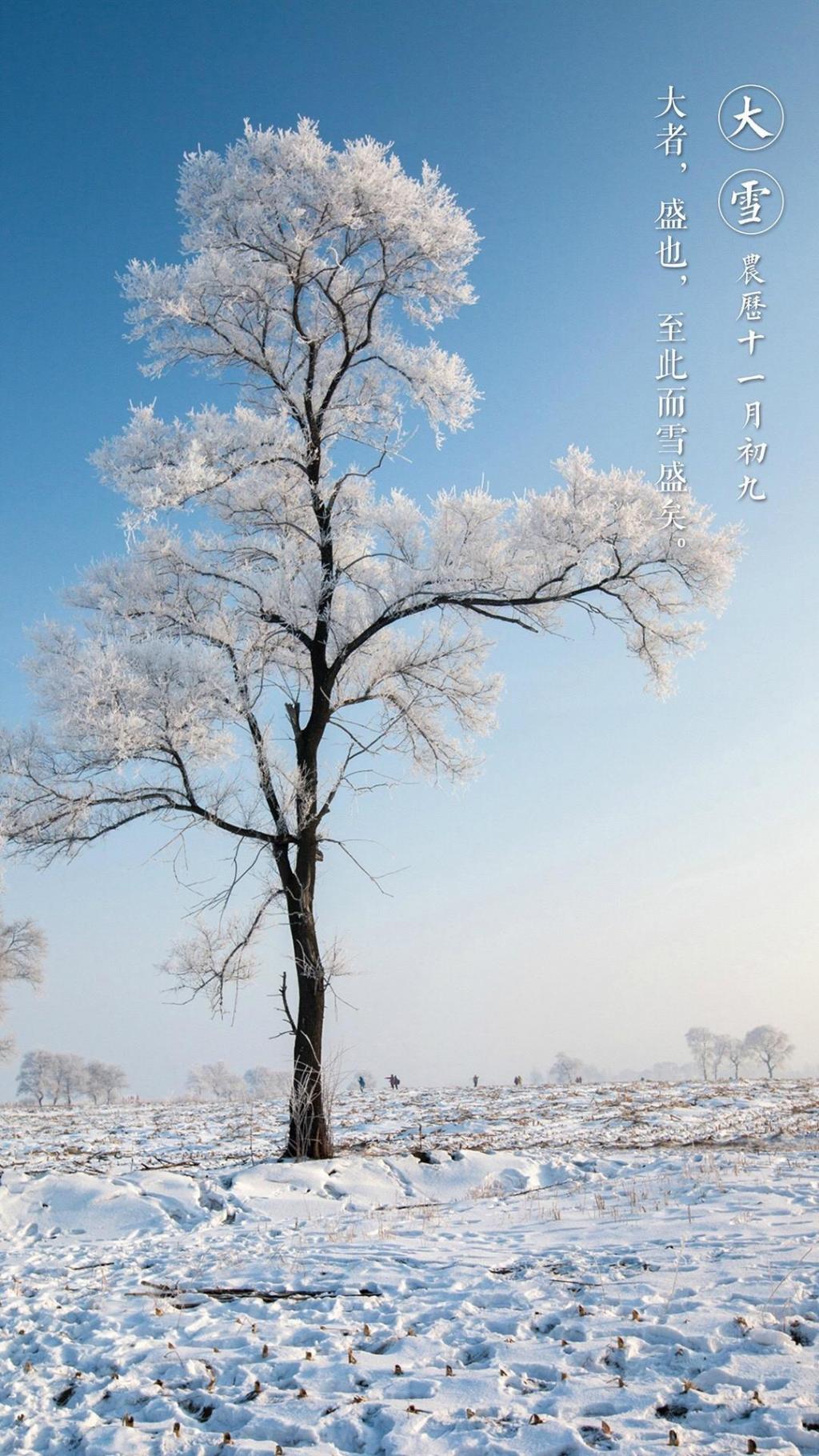 二十四节气大雪已到手机壁纸