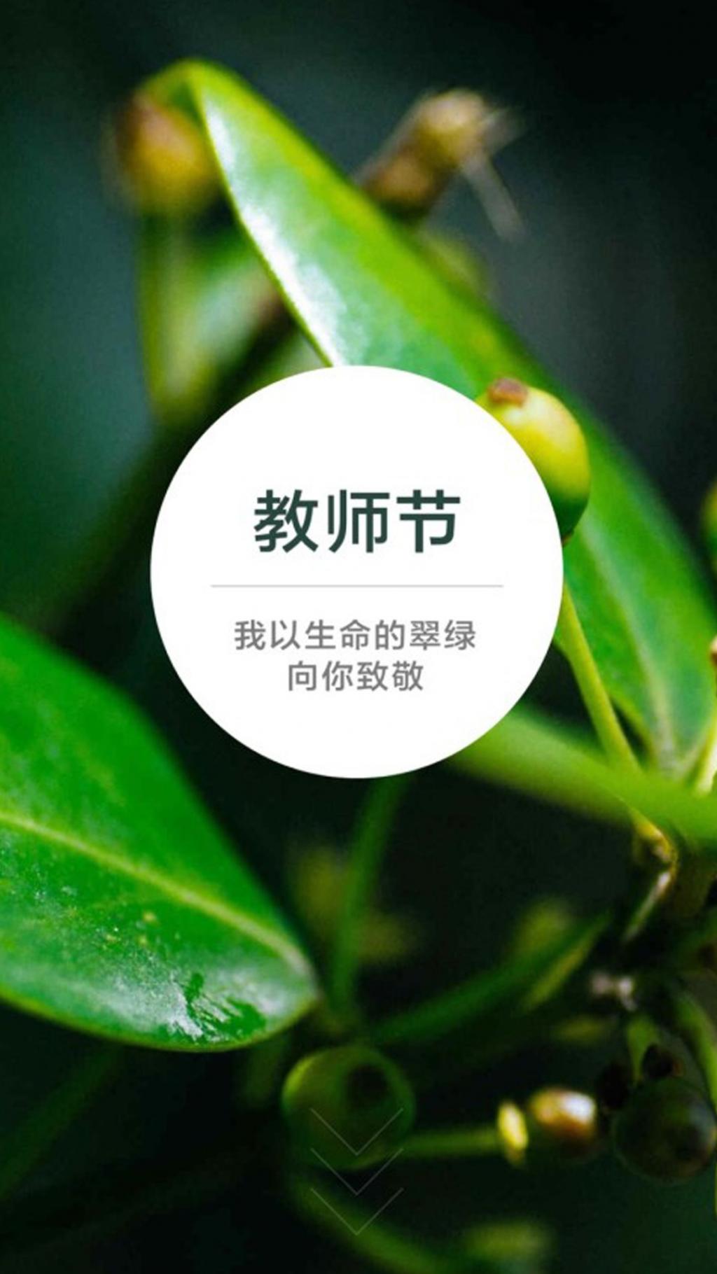 教师节:我以生命的翠绿向你致敬手机壁纸