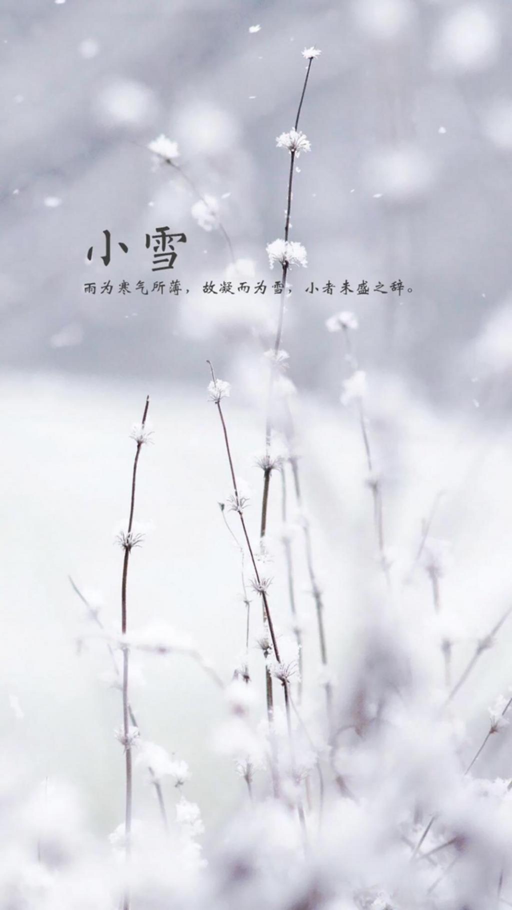 小雪到 冬来到手机壁纸