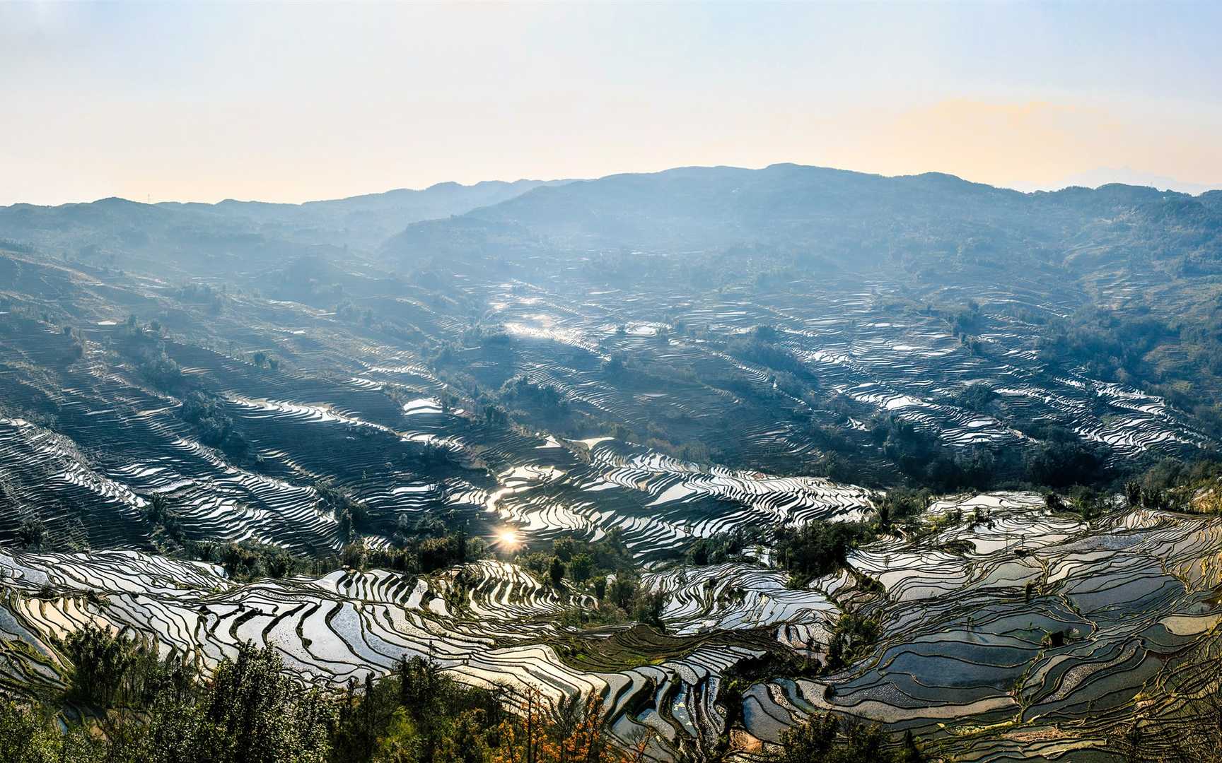 云南元阳梯田图片