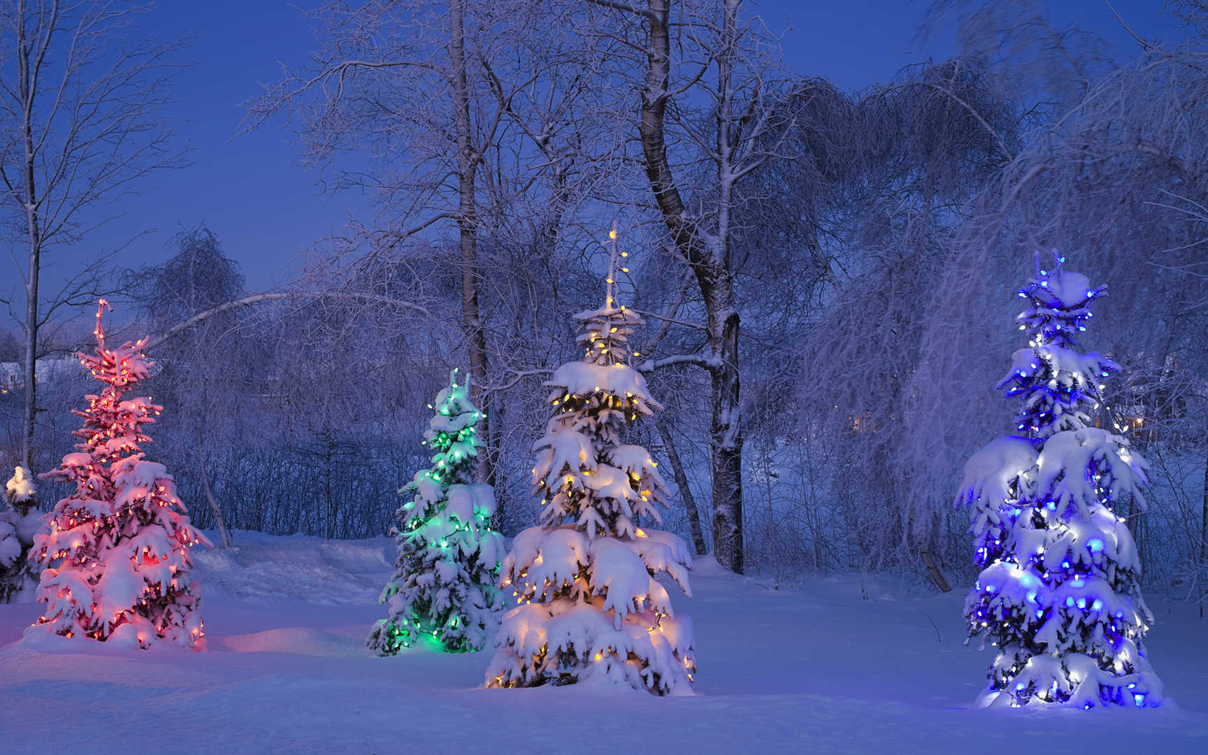 《雪夜》雪地夜景唯美壁纸