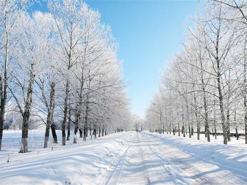 冬天唯美冰雪风景安卓平板壁纸