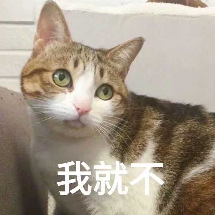 我就不（猫咪表情包）