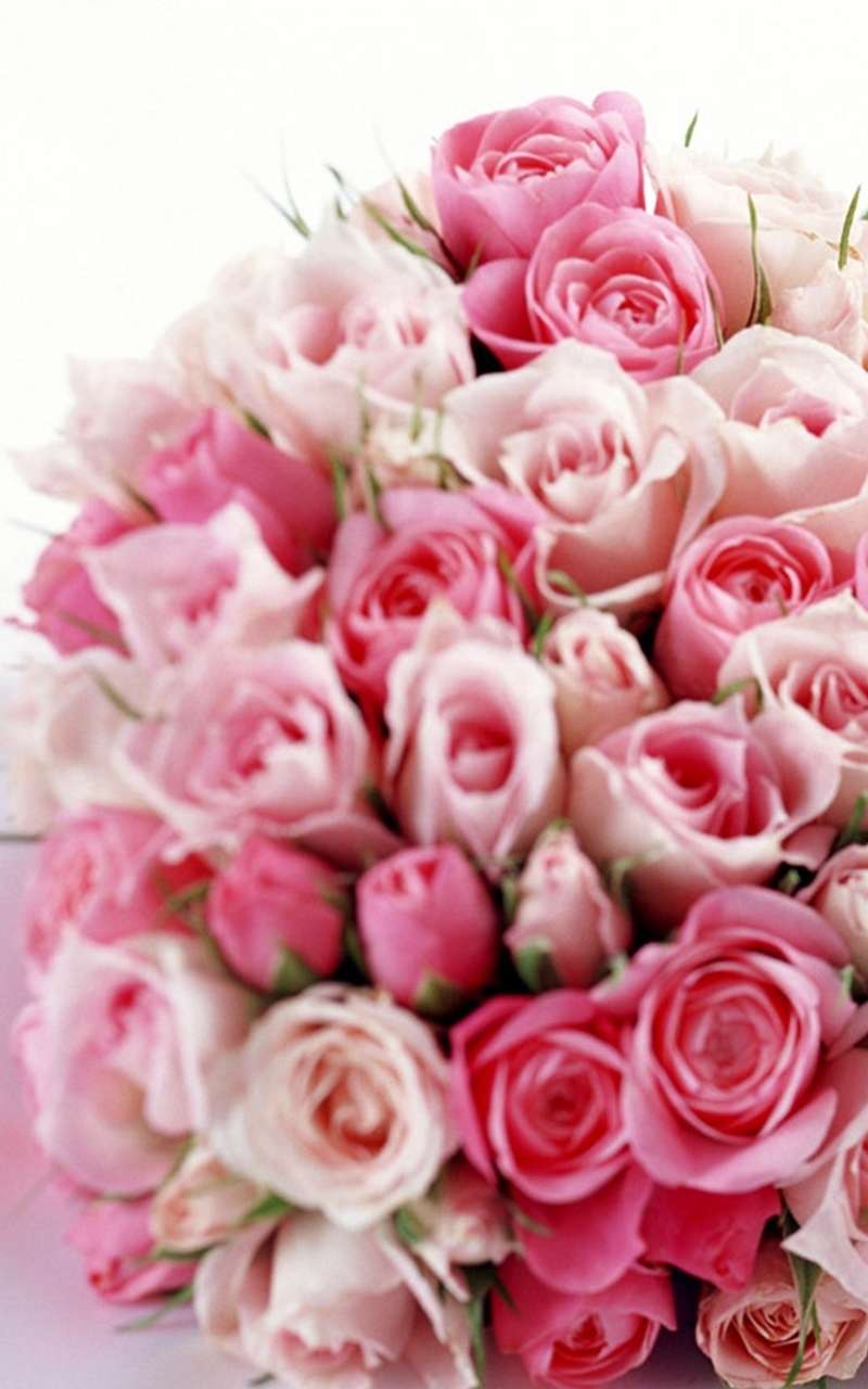 浪漫鲜艳玫瑰花图片wp手机桌面主题壁纸