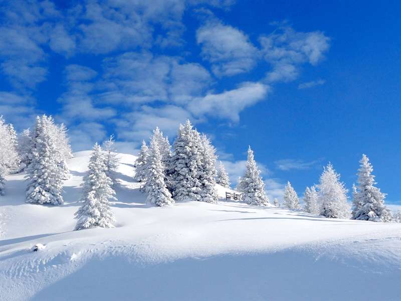 冬天纯白雪景自然风景ipad壁纸下载