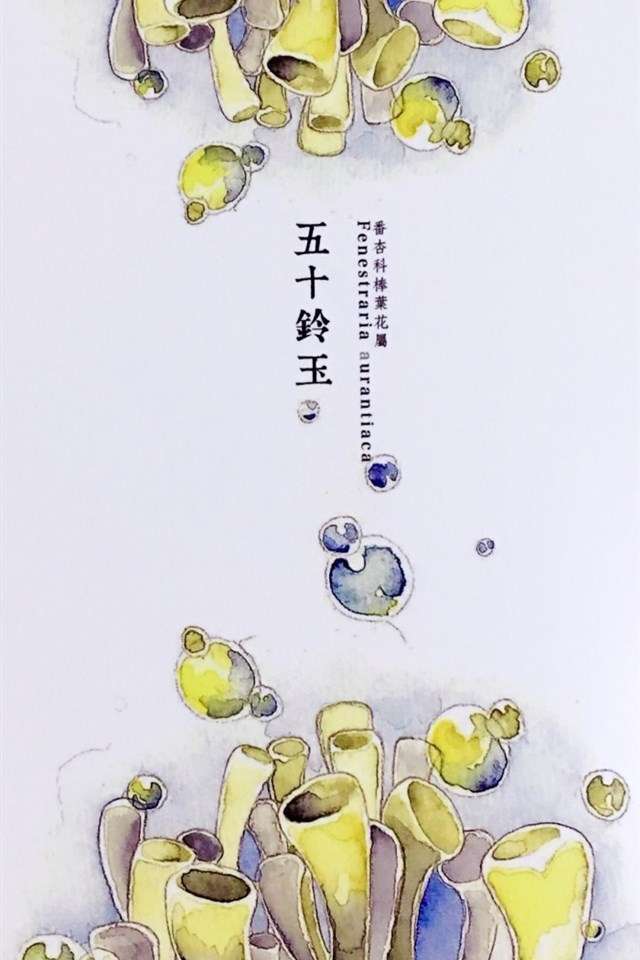 植物水彩艺术插画手机壁纸