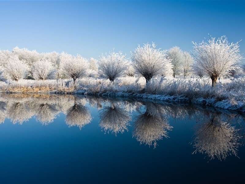 冬天唯美冰雪风景安卓平板壁纸