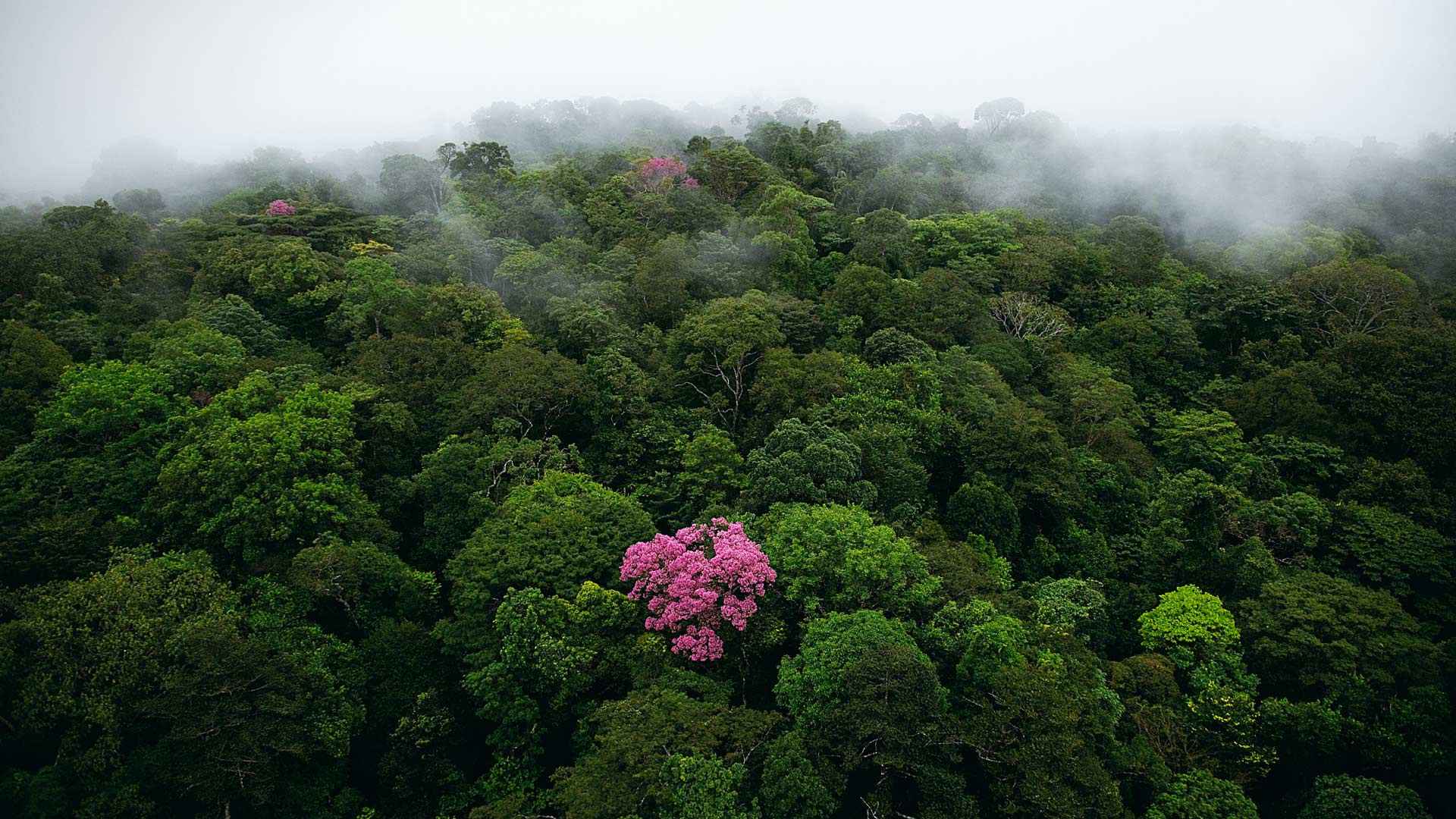 美丽的自然风景图片大全