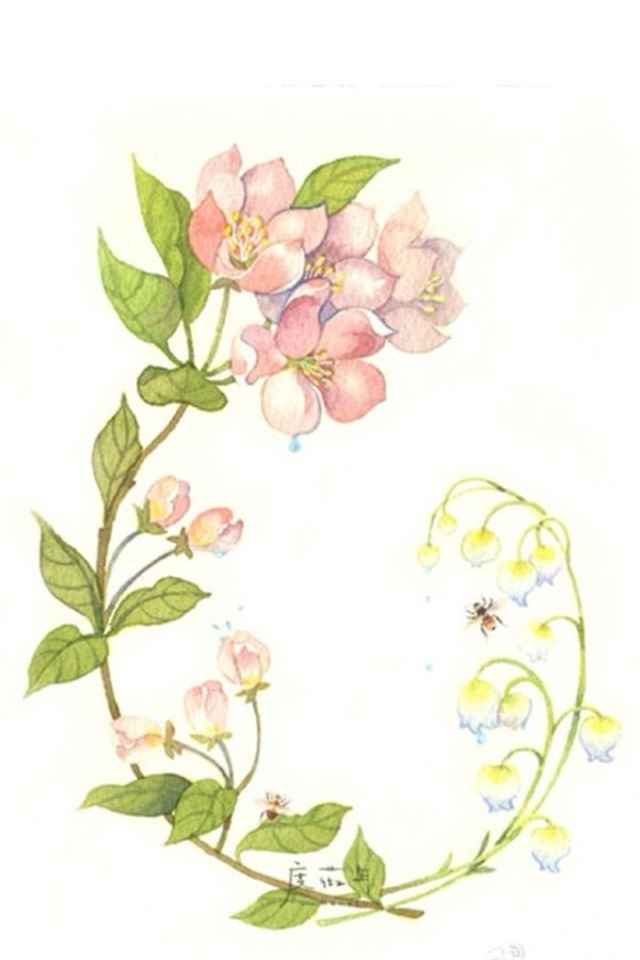 唯美手绘花朵插画高清手机壁纸