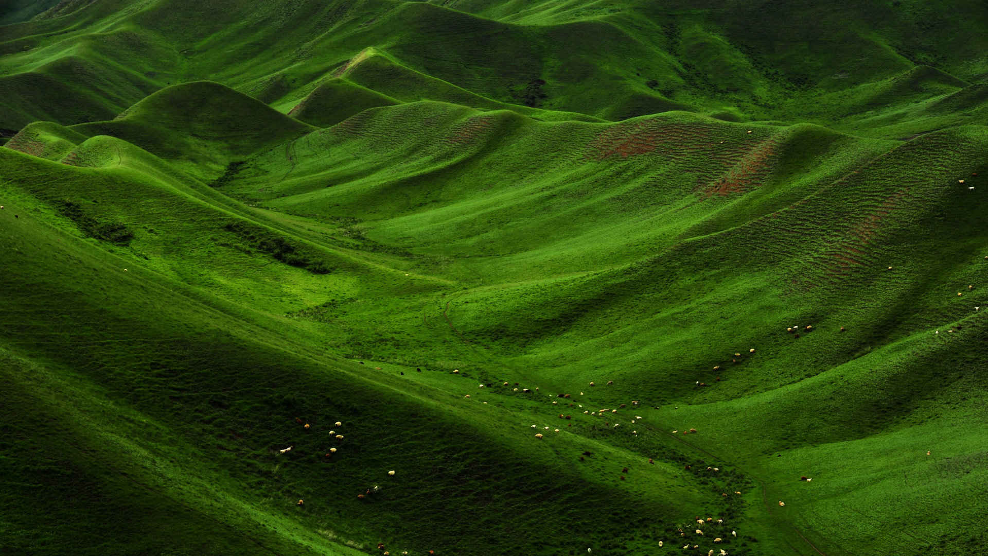 新疆天山山脉风景壁纸